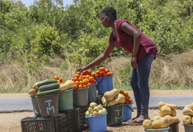 Virginia Mavhunga displays fruits and vegetables by the roadside for sale to motorists in Murehwa, Zimbabwe. Photo: AP