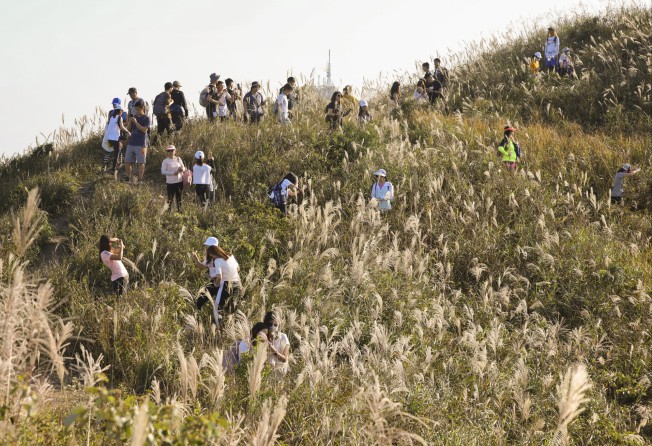 Tung Yeung Shan is another popular spot for Hong Kong’s many hiking enthusiasts. SCMP / Dickson Lee
