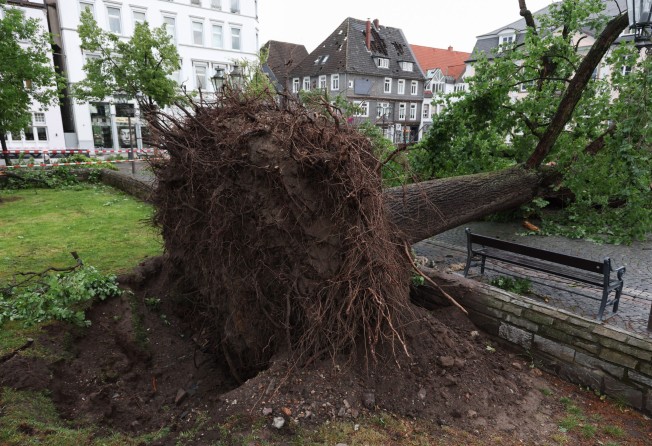 An uprooted tree is seen in Lippstadt on Friday after a tornado caused massive damage in the German city. Photo: dpa