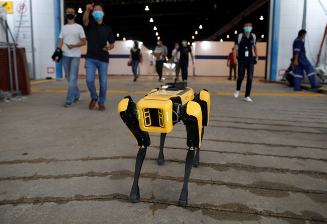 SPOT, a four-legged robot developed by Boston Dynamics undergoes further testing to deliver medicine to patients. After struggling to find staff during the pandemic, businesses in Singapore have increasingly turned to deploying robots to help carry out a range of tasks. Photo: Reuters