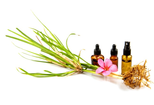 Vetiver is an anti-inflammatory herb. Photo: Shutterstock