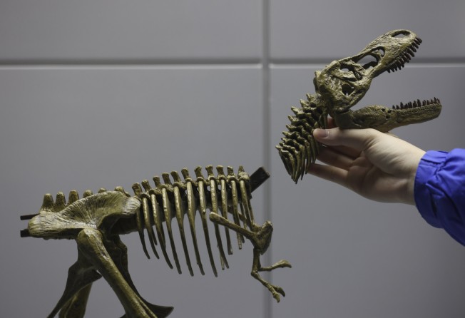 A model of a Tyrannosaurus rex on display for attendees to play with at the exhibition. Photo: Nora Tam