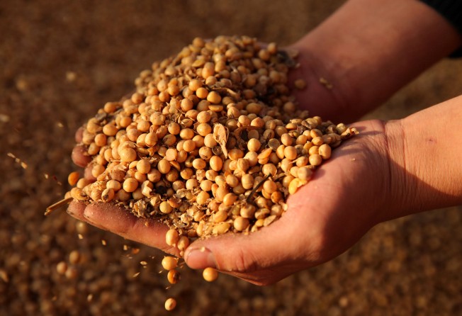 China imports more soybean than any other country. Photo: Reuters