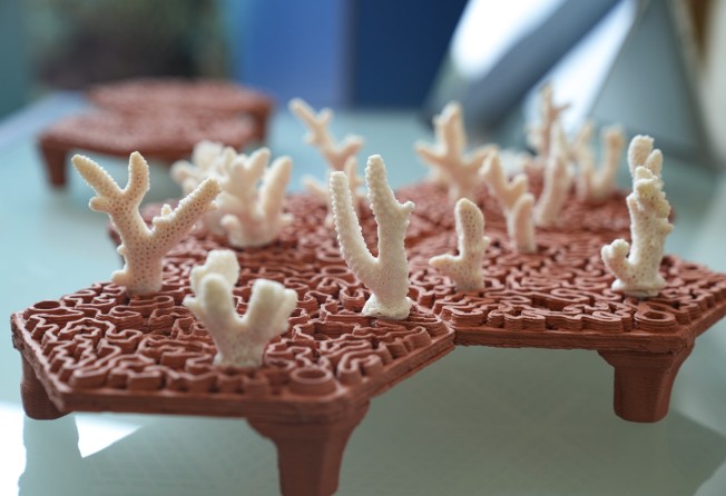 ArchiREEF’s 3D-printed terracotta reef tiles. Photo: Sam Tsang