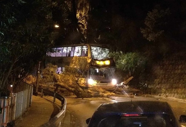 The scene after a tree fell on a bus on The Peak on Monday evening. Photo: Facebook