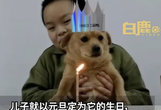 The boy used his own savings to buy a cake, savoury food and a hat for the dog to wear on its birthday. Photo: Weibo