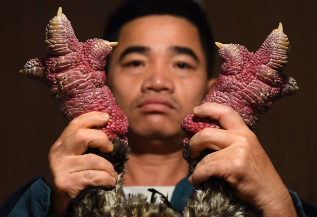 Poultry farmer Le Van Hien holding the legs of a Dong Tao chicken at his farm in Hung Yen province. Photo: AFP