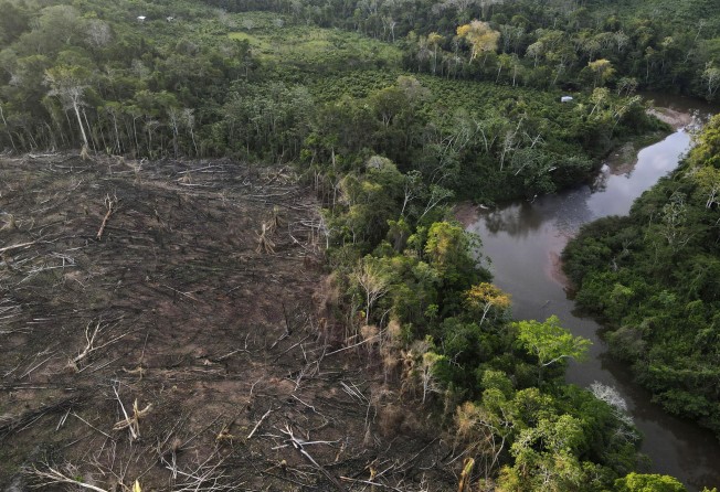 Felled trees lie near the limit of the Cordillera Azul National Park in Peru’s Amazon on October 3, 2022. Photo: AP