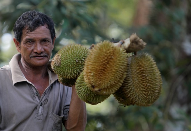 how many durian trees per acre