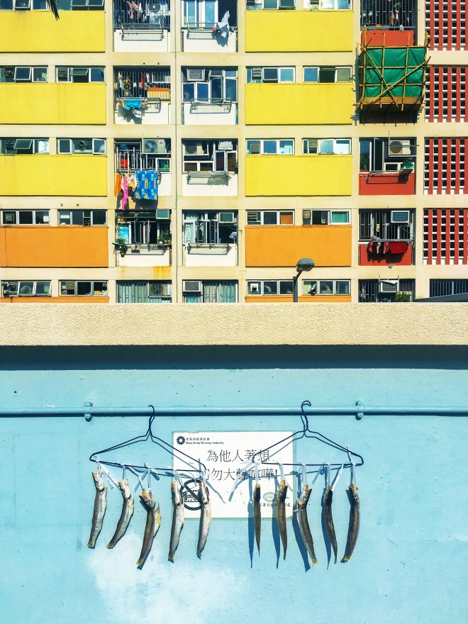 ‘Fish of Preservation’ by Wong Kai Lok is the National Geographic Wheelock Hong Kong Photo Contest 2018’s winner in the Mobile Photography category. Photo: Handout