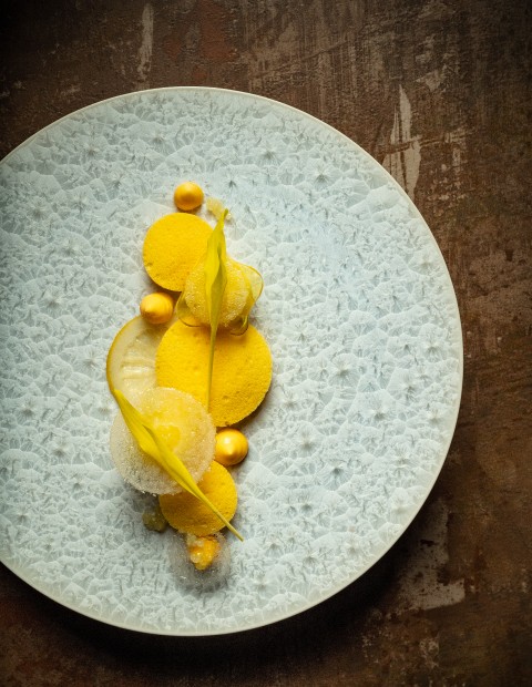 Lemon Delight – a dessert honoring the prestigious I.G.P. lemon from the Amalfi Coast.