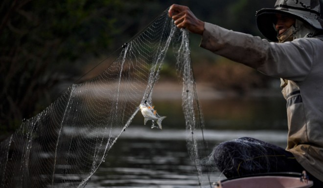 One report said fish catches could drop by 80% by 2040.
