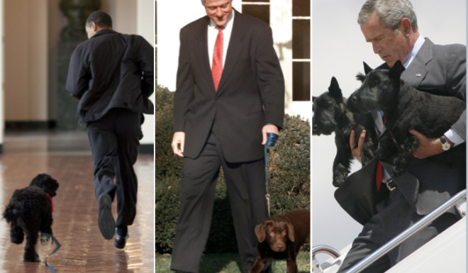 President Barack Obama running with his dog Bo, President Bill Clinton walks his puppy Buddy at the White House, and President George W. Bush walks off Air Force One carrying the family pets Barney and Miss Beazley. Photos: Agence France-Presse/The White House, AP, Agence France-Presse