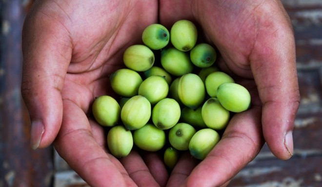 Lotus seeds are a super food long used in Ayurveda and traditional Chinese medicine. Photo: Getty Images