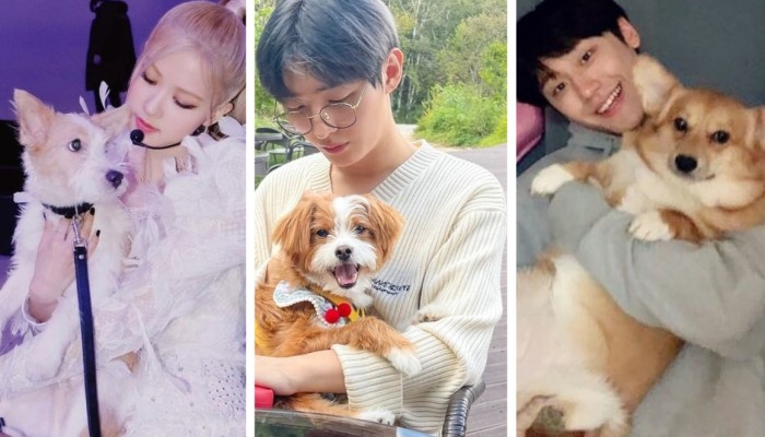 LOOK: Blackpink's Rosé adopts puppy abandoned by owner