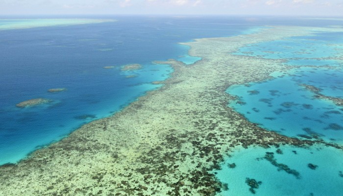 Martin Zavan - Greenpeace Australia Pacific