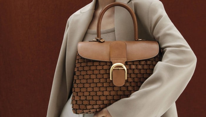 Sac discount brillant delvaux