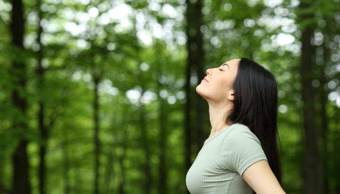 Study Buddy: Why spending time outdoors and in nature benefits your mind and body - Young Post | South China Morning Post