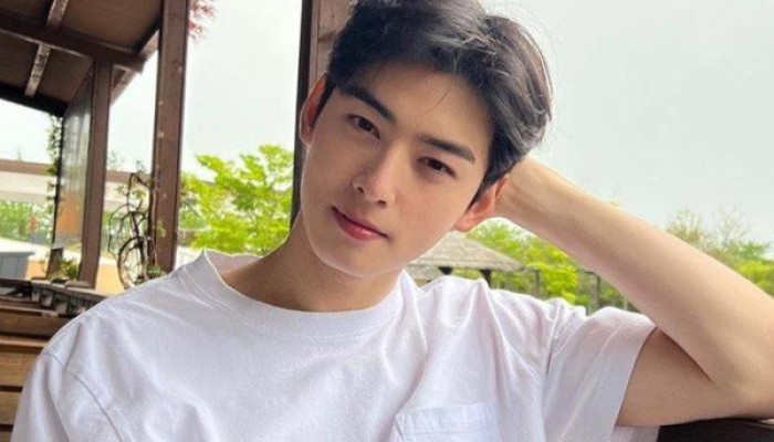ASTRO's Cha Eun Woo and Song Hye Kyo are all about visuals during