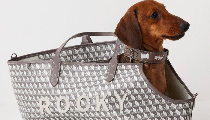 4 luxury brands to twin with your pampered pooch: from Louis