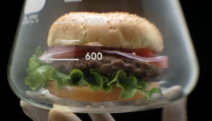 Cultured Meat is Vegan – confusion