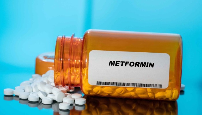 Metformin 1000 price