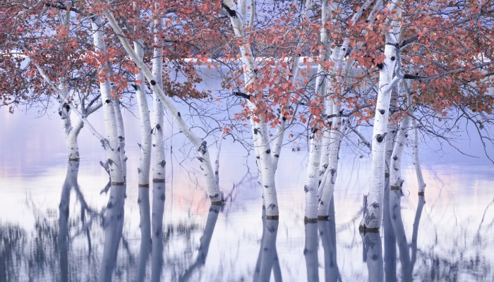 sky arts landscape artist of the year 2023 finalists