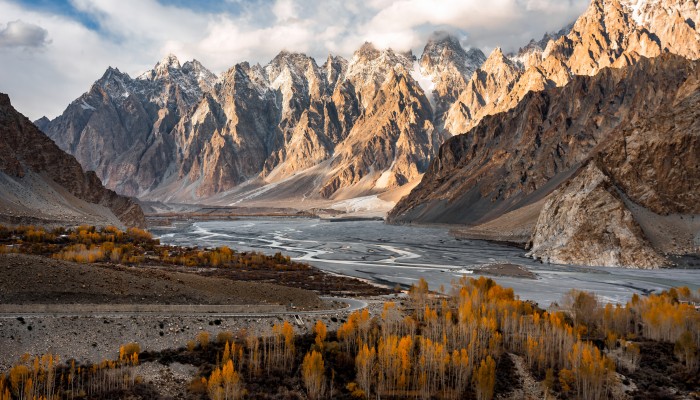 a68963f1-ef35-4ca6-9769-