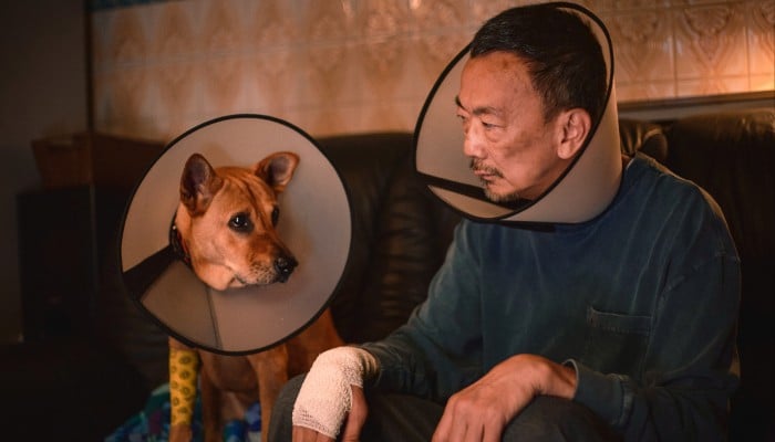 Review | An Abandoned Team movie review: Lawrence Cheng bonds with stray dog in feel-good drama | South China Morning Post