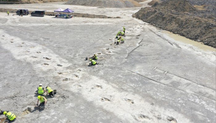 Dinosaur highway' tracks dating back 166 million years discovered in England | South China Morning Post