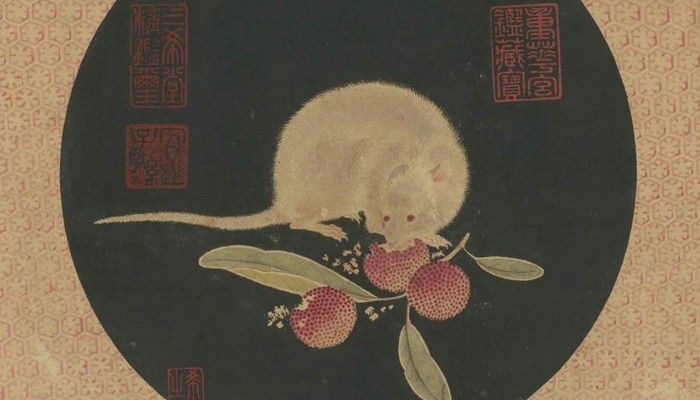Oh rats! Did Zheng He's Ming era Treasure Fleet help spread