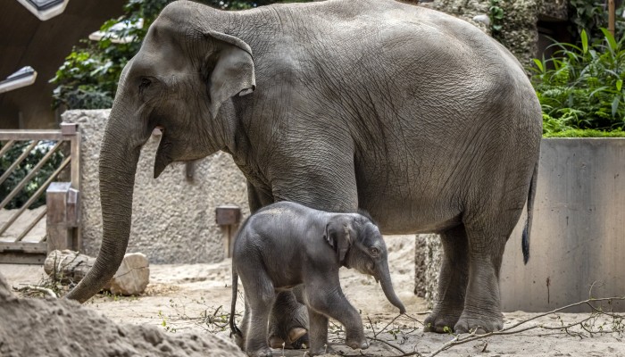 c951fab2-158d-4ee6-880b-