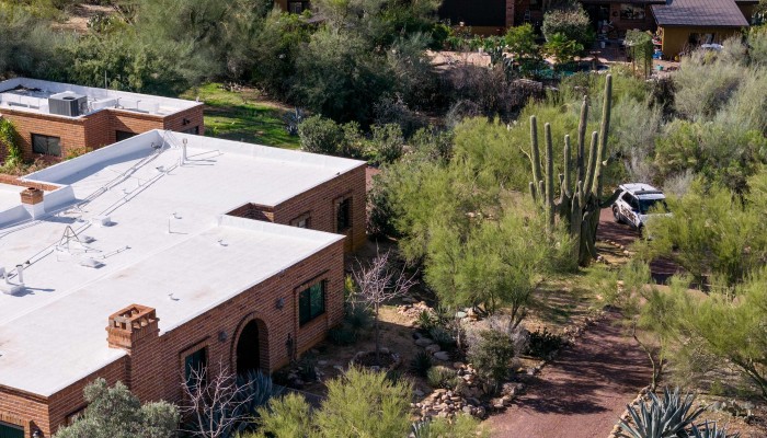 Glove found near Nancy Guthrie's home appears to match one worn by suspect, FBI says | South China Morning Post