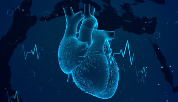 Chinese scientists grow heart’s ‘master conductor’ that could replace pacemaker