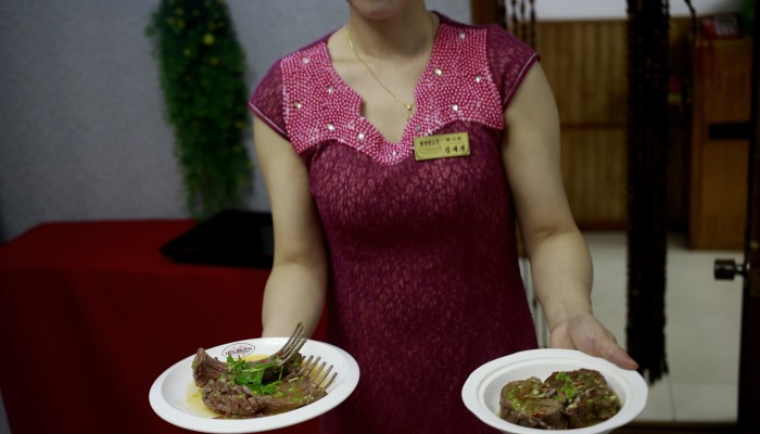 North Korea advises citizens to eat dog meat to beat summer heat as heatwave grips Korean Peninsula; state paper warns of heat exhaustion and heatstroke