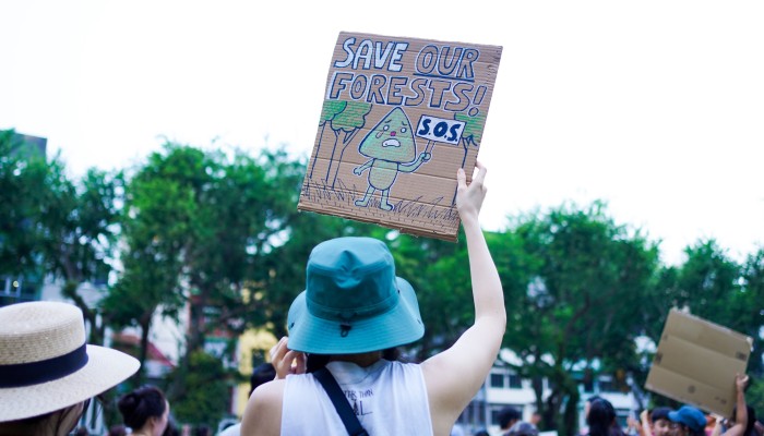 Singaporeans Rally to Protect Forested Areas from New Housing Plans