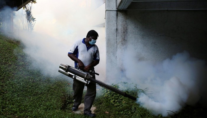 Dengue Cases in Malaysia Surge: 55 Deaths Reported This Year