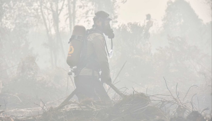 Indonesia opens skies to Malaysian rainmakers as haze crisis closes nearly 600 schools and swallows Petronas Twin Towers; 16 areas record unhealthy air