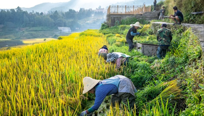 China Tariff Deal Excludes US Soybeans | Sellers Face Supply Chain Shifts