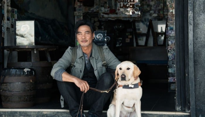 Quill the life of a guide dog netflix on sale