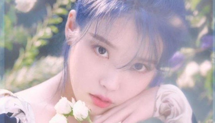 IU fans illegally stream the K-pop singer's concert and get