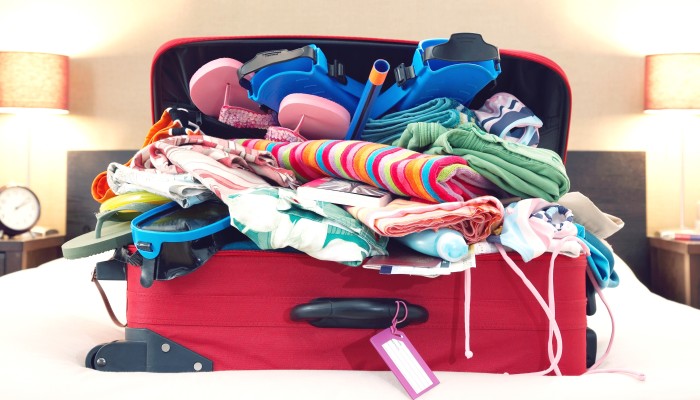 suitcase organisation