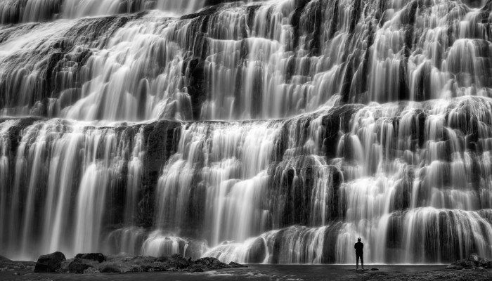 Water Is Life: International Photo Contest 2003 (水は生命で