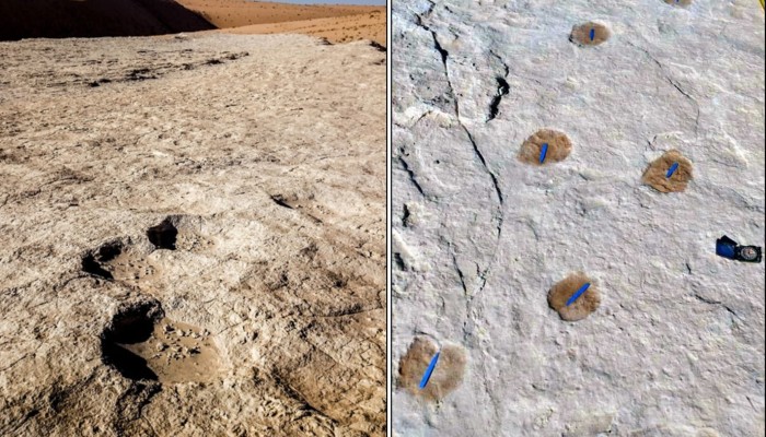 Do these ancient footprints show how humans left Africa? | South China Morning Post