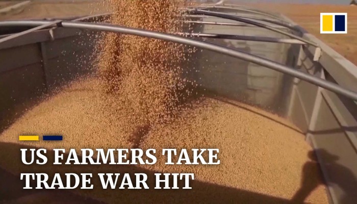 Soybean farmers in the US among worst hit by ongoing US-China trade war ...