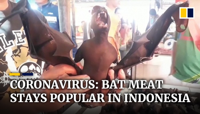Bat meat remains popular in Indonesia despite coronavirus fears | South ...