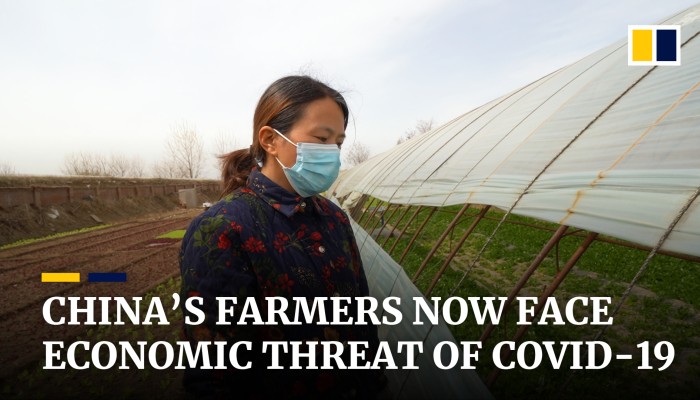 Chinese farmers see livelihoods threatened by coronavirus pandemic and ...