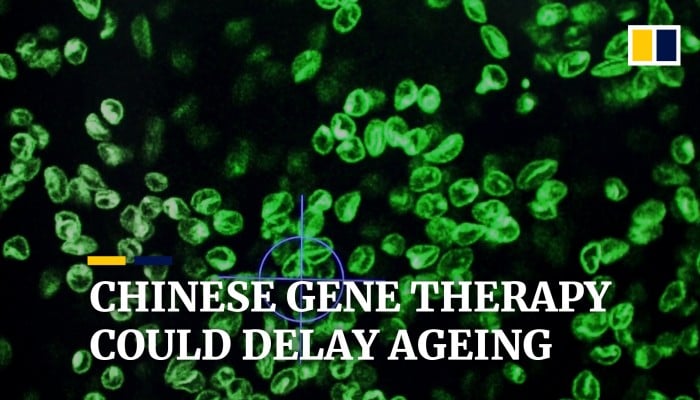 Gene Therapy Which Could Slow Human Ageing Found By Chinese Researchers