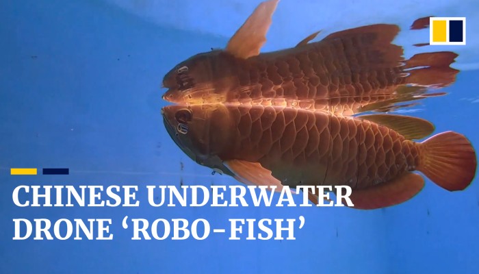 Chinese company creates fishlike underwater drone 'Robo-Fish