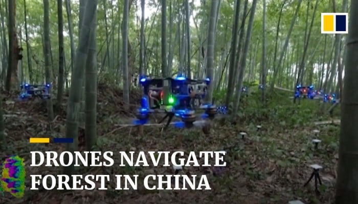 Autonomous drones fly through Chinese bamboo forest | South China ...